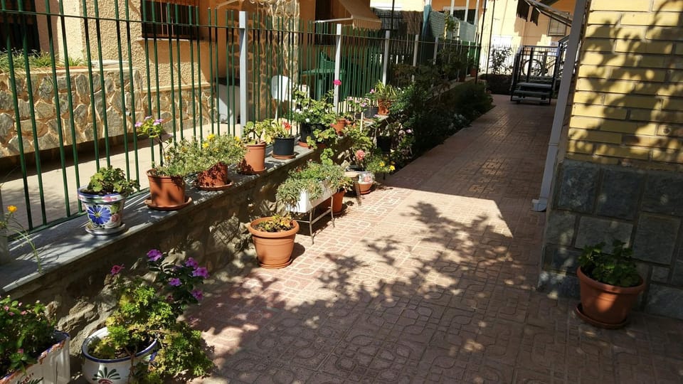 Garden, Lobby or reception