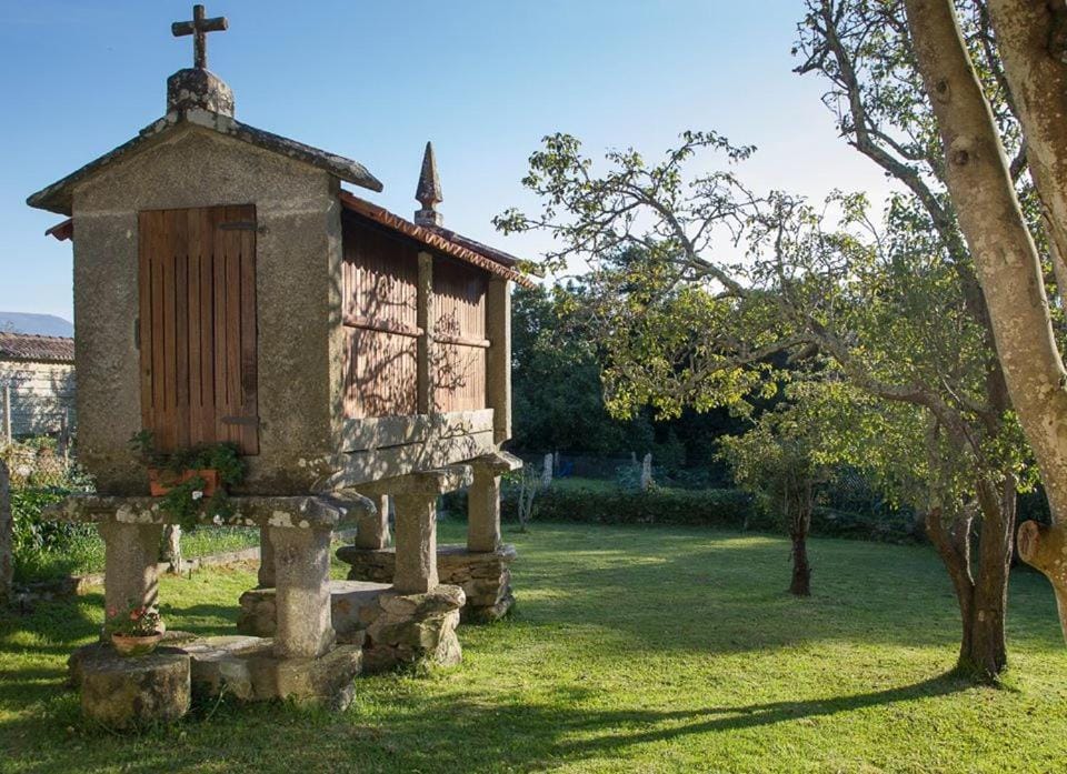Natural landscape, Garden