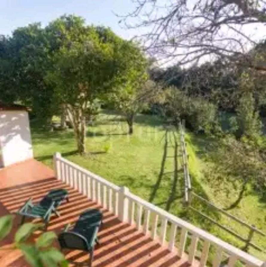 Natural landscape, Garden, Garden view