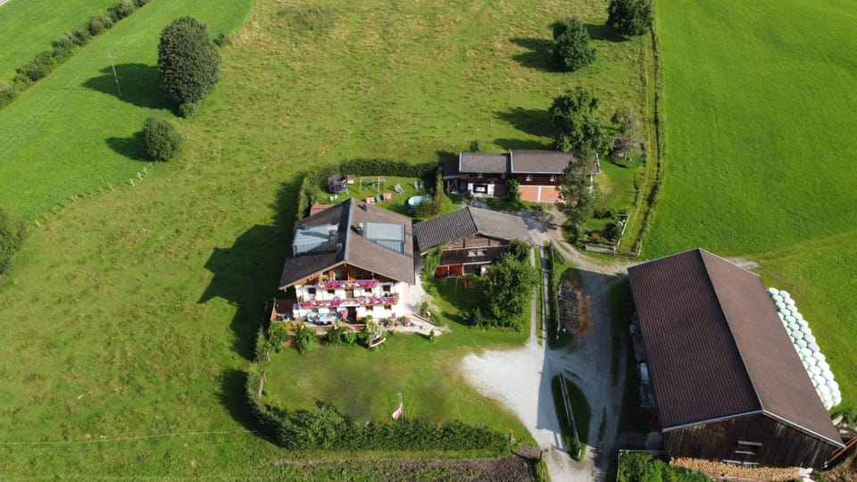 Property building, Bird's eye view