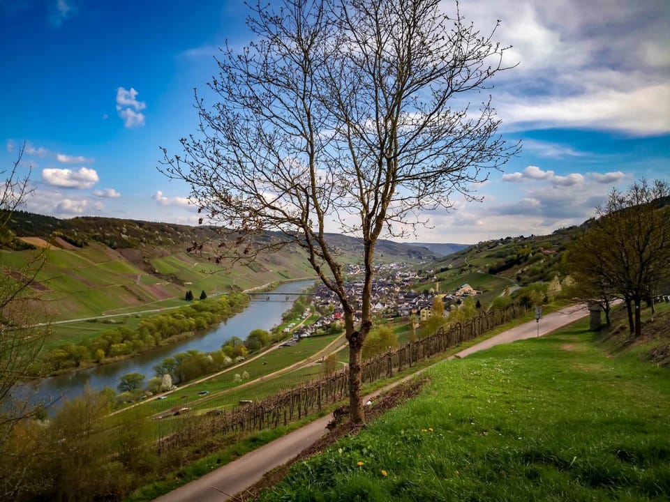 Weinhaus Burg-Schneider Hotel in Cochem-Zell