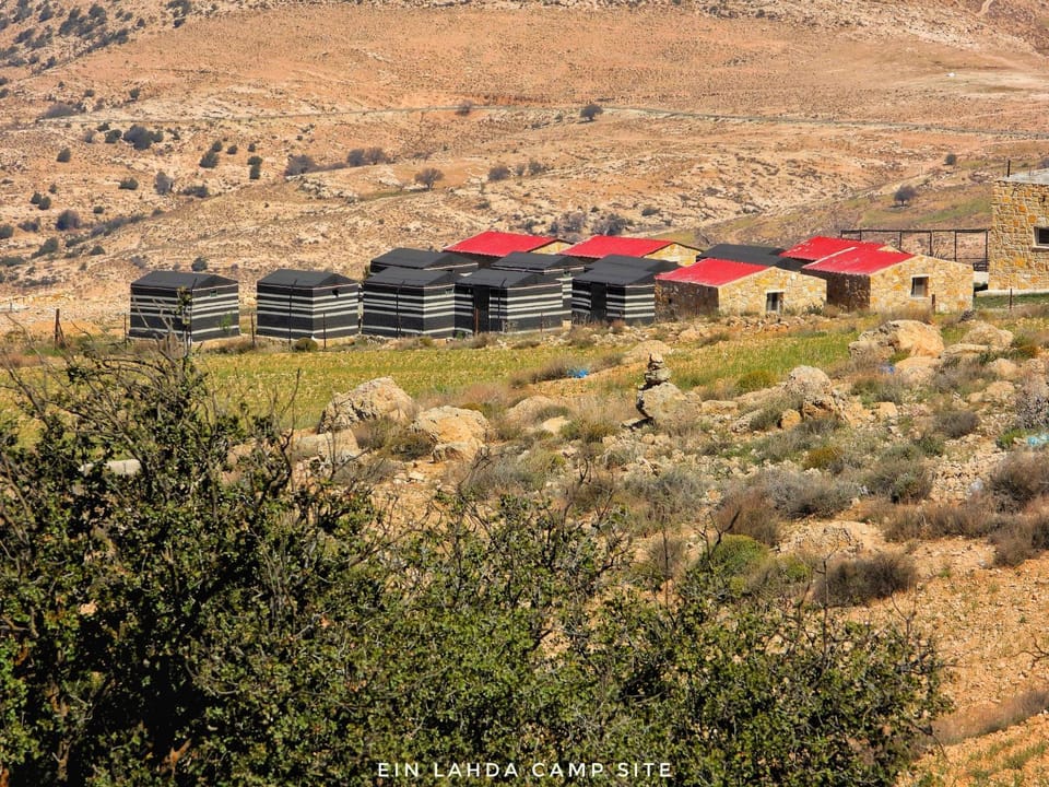 Ein lahda camp-site Luxury tent in Africa