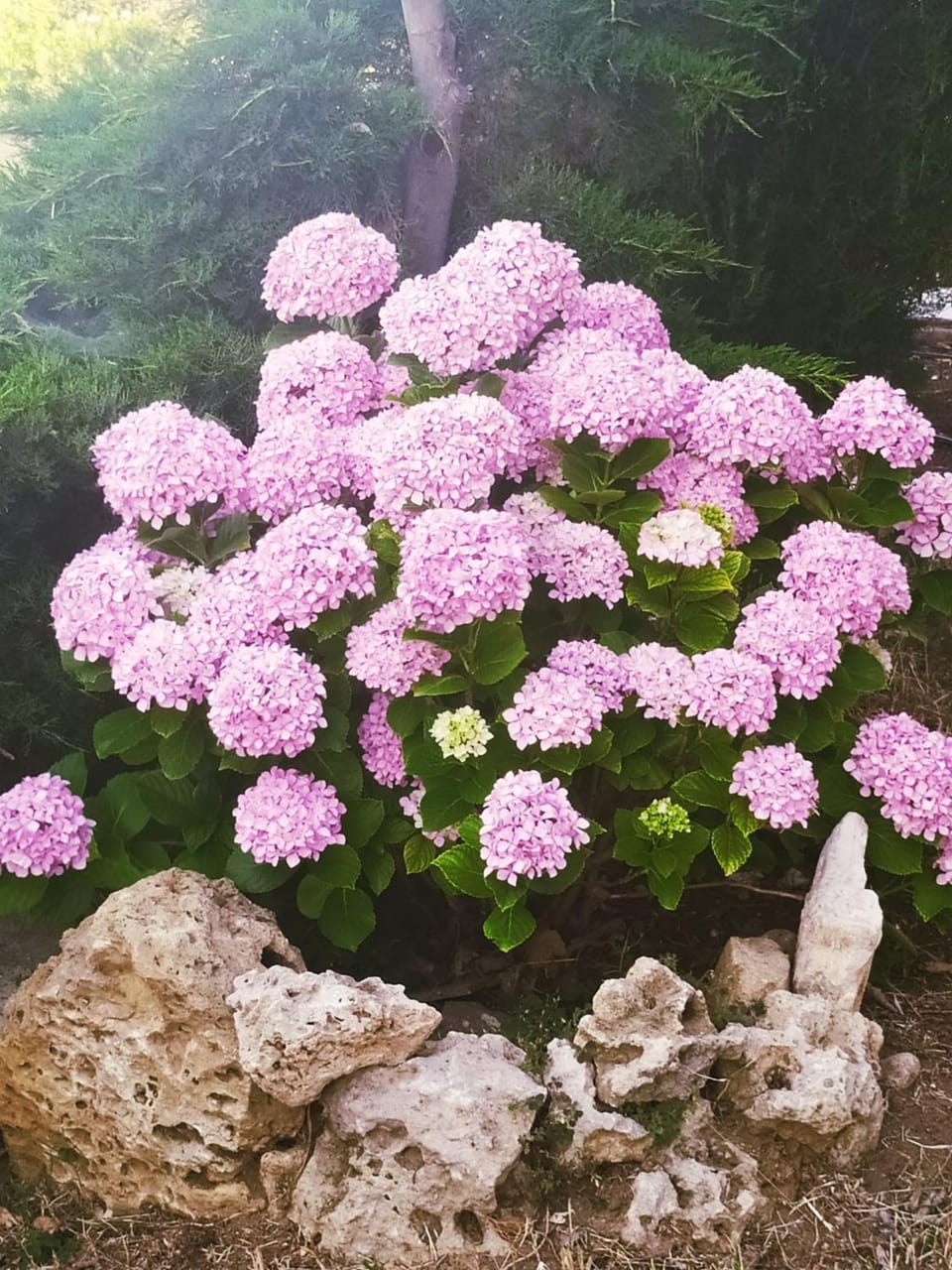 Panorama Palaiοpolis Bed and Breakfast in Evros, Greece