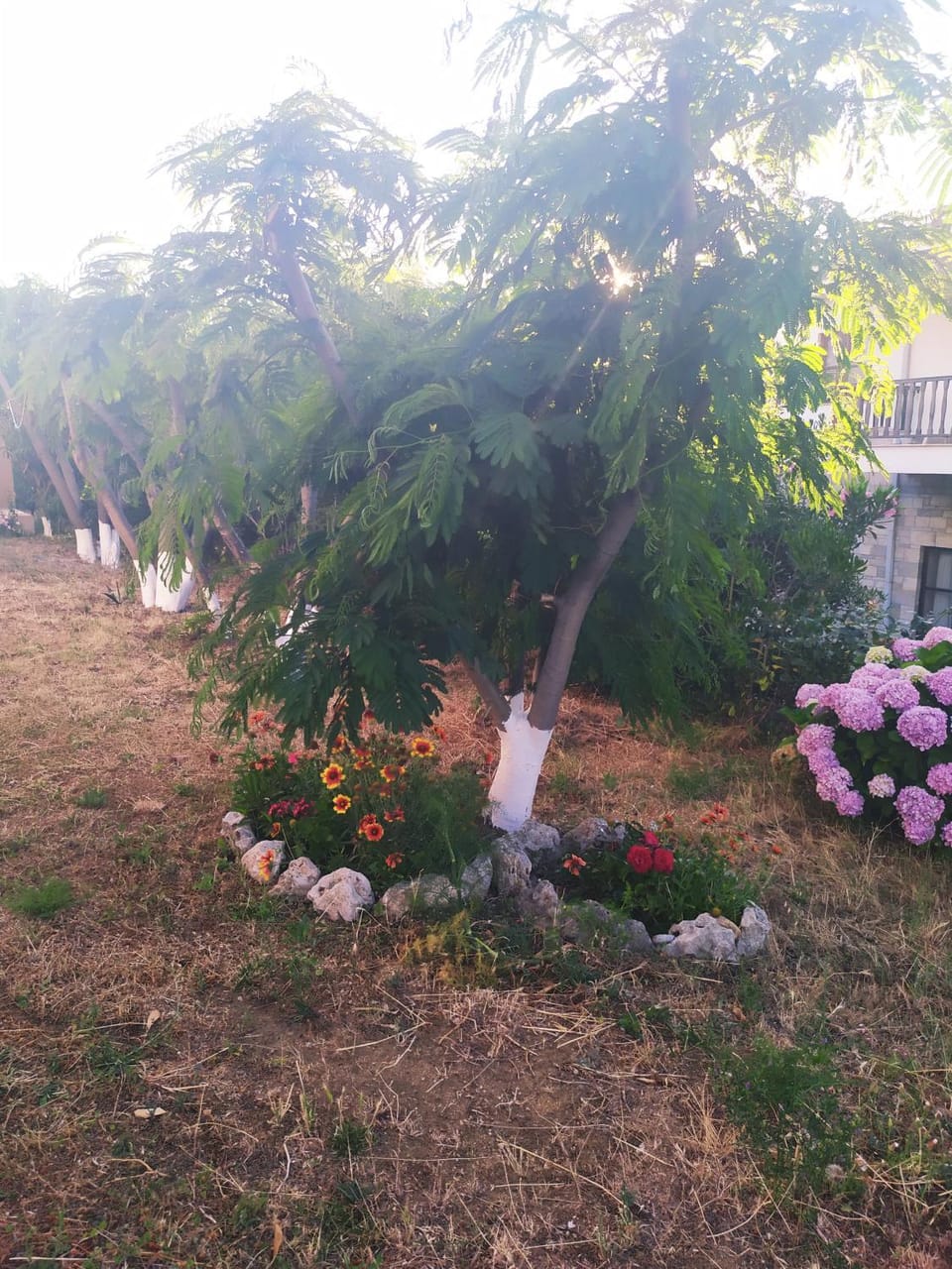 Panorama Palaiοpolis Bed and Breakfast in Evros, Greece