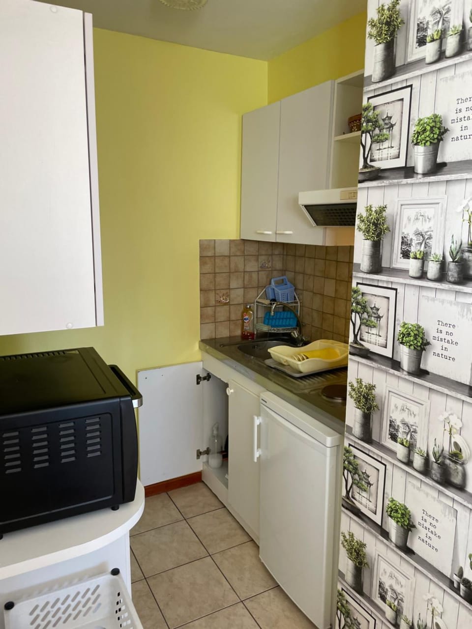 Kitchen or kitchenette, minibar, pet friendly, stove