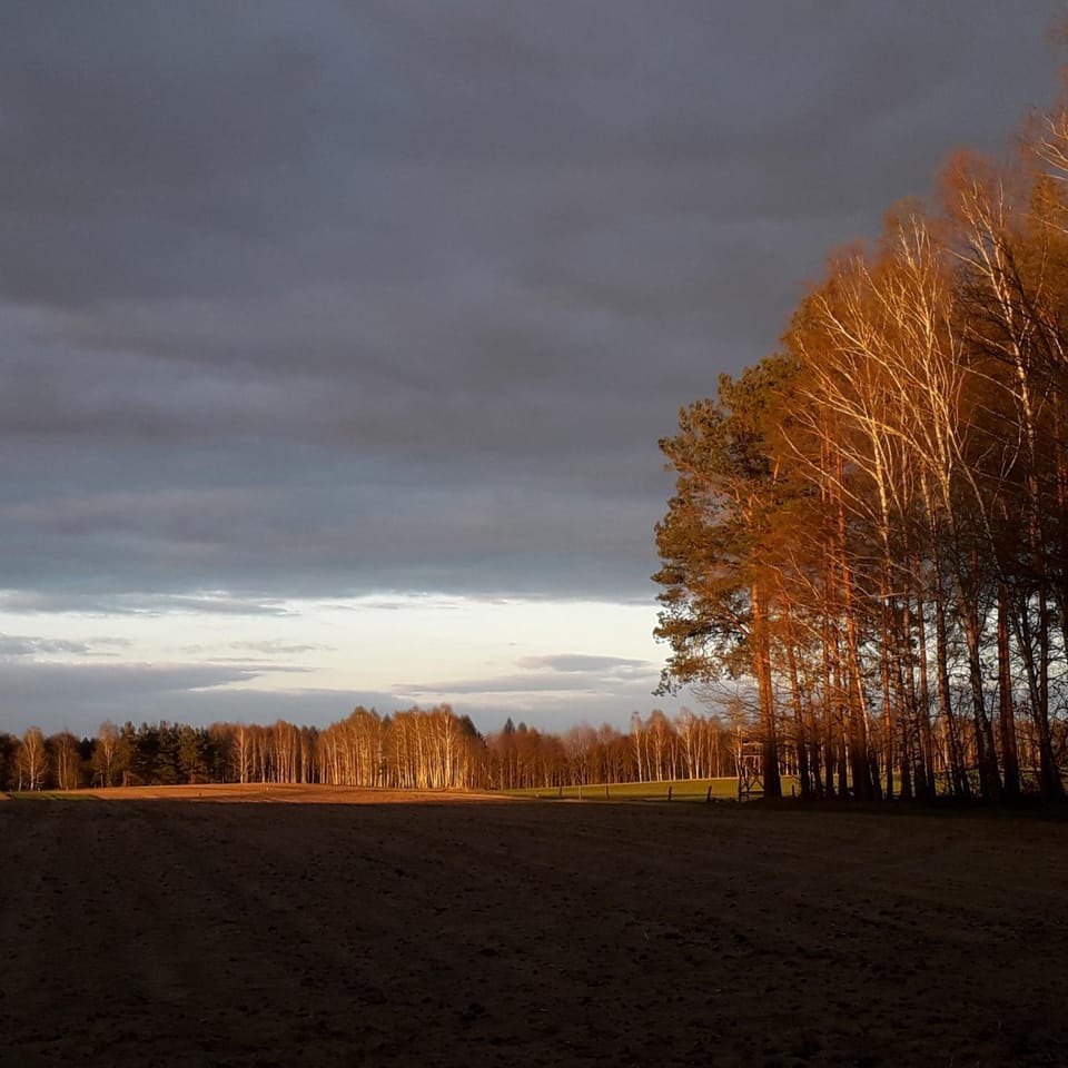 Neighbourhood, Natural landscape
