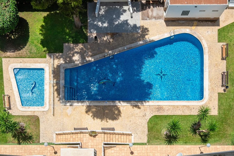Property building, Day, Garden, Garden view, Pool view, Swimming pool