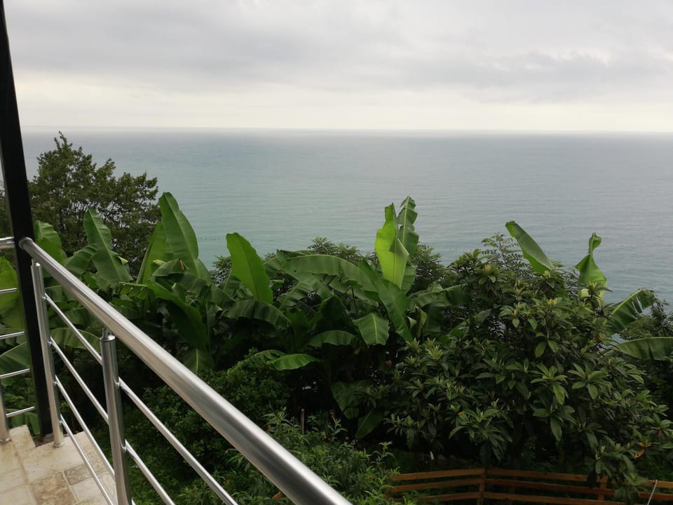 Albatross Kvariati Guest House Bed and Breakfast in Batumi