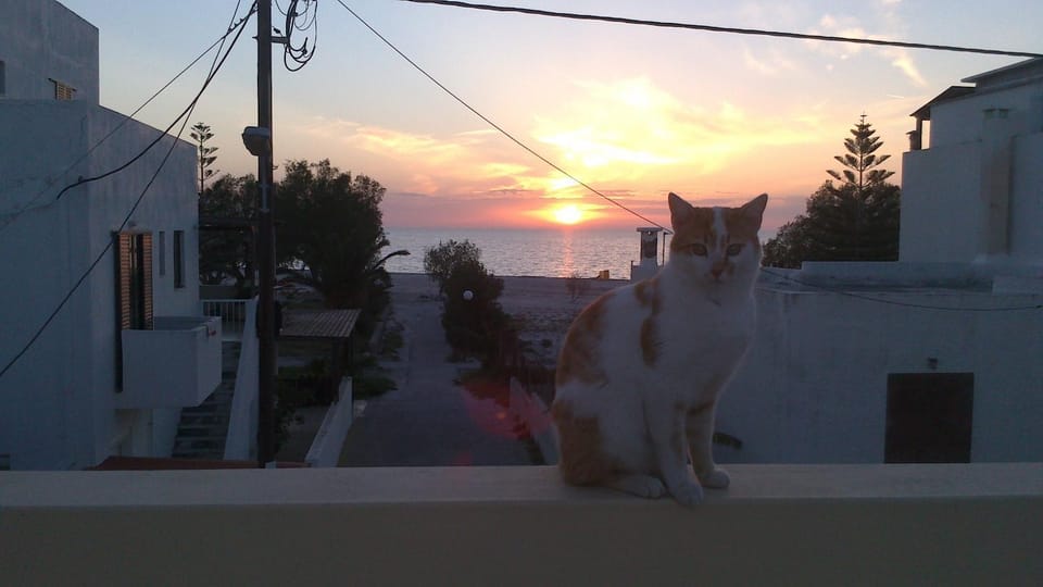 Holiday Dream Thalia Apartment Apartment in Mastihari