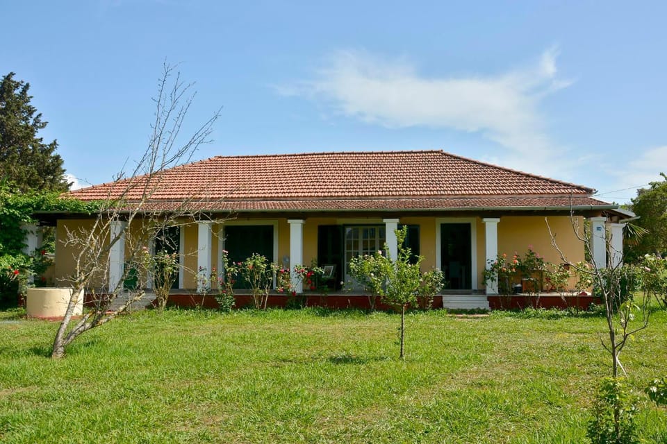 Property building, Garden