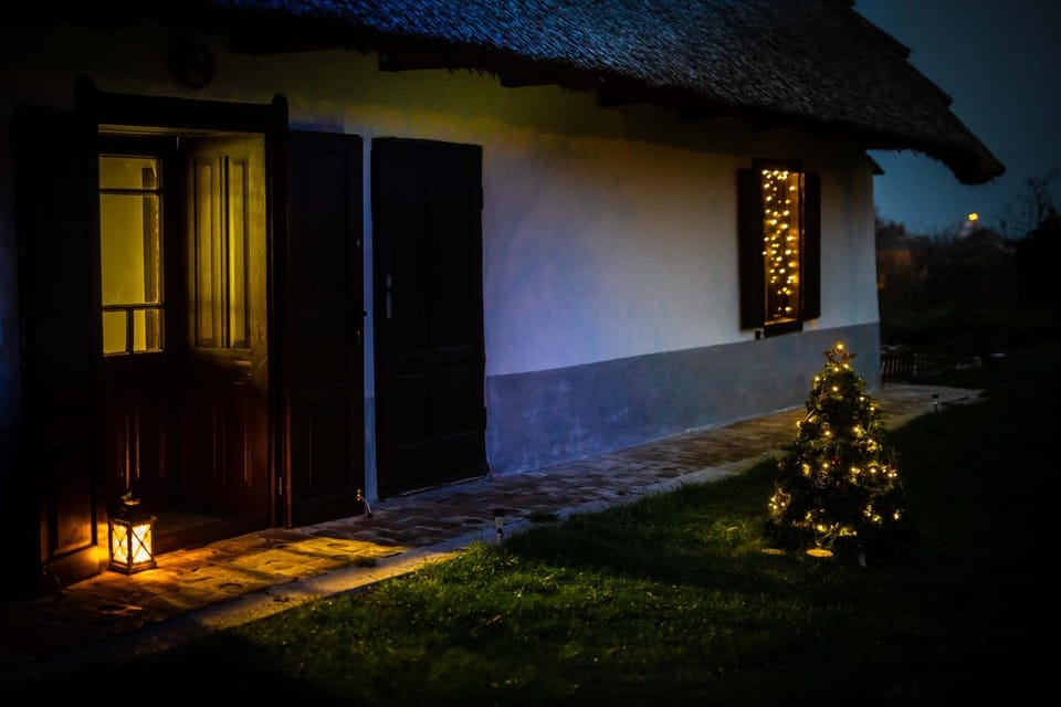 Winter, Garden