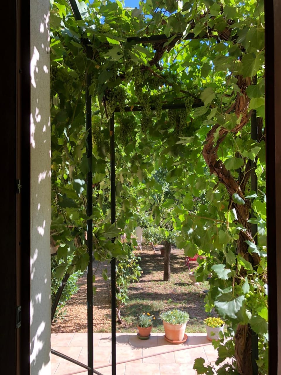 Les Lauriers Bed and Breakfast in Brignoles