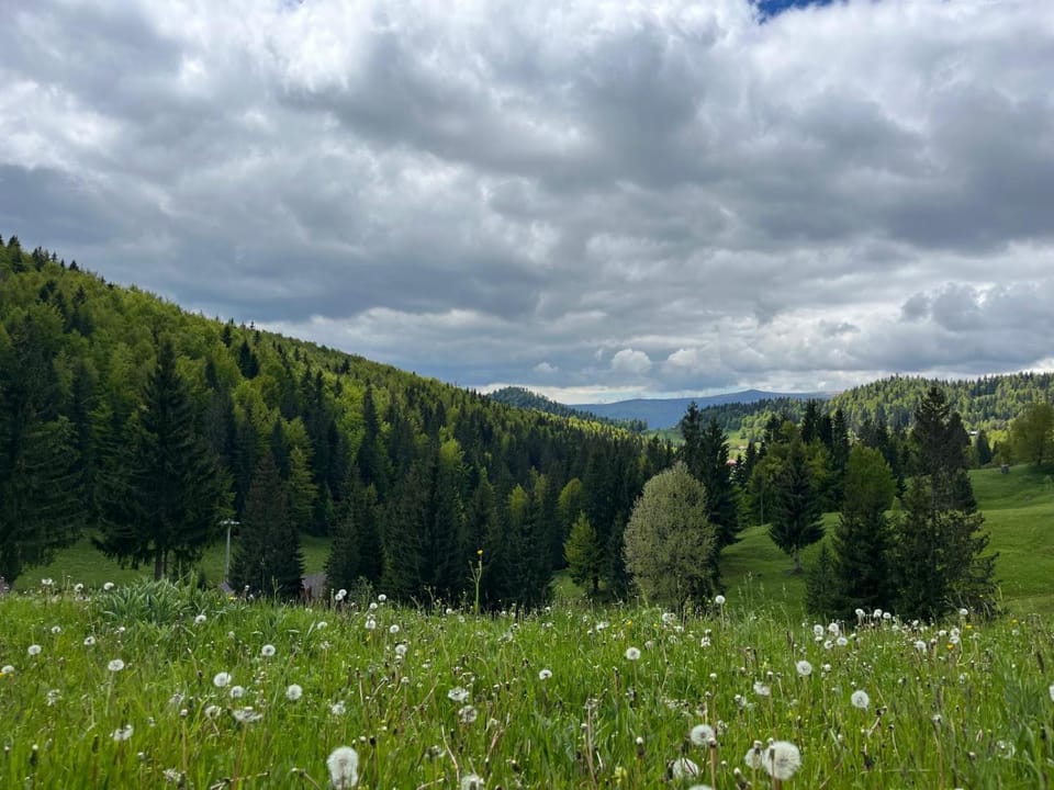 Natural landscape
