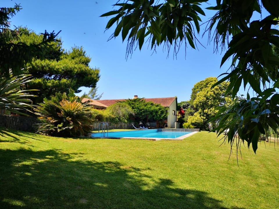 Day, Garden, Garden view, Pool view, Swimming pool