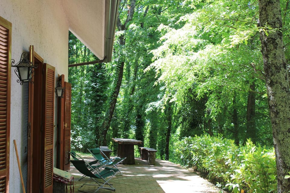 Property building, Garden, Garden