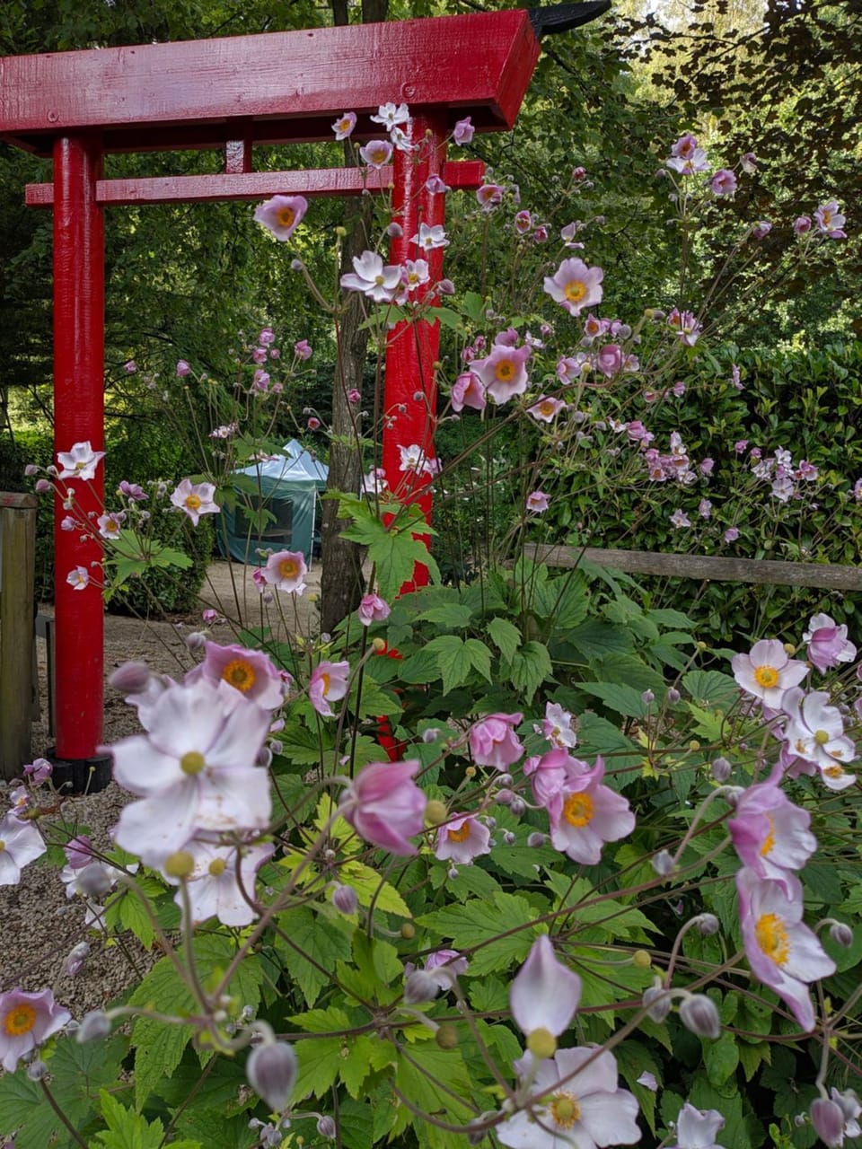 Garden, Garden