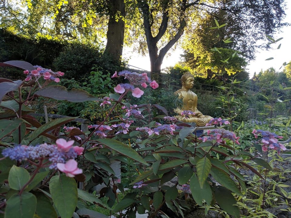 Garden, Garden