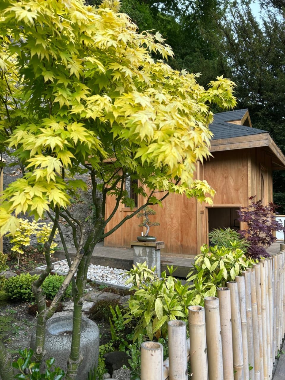 Garden, Garden