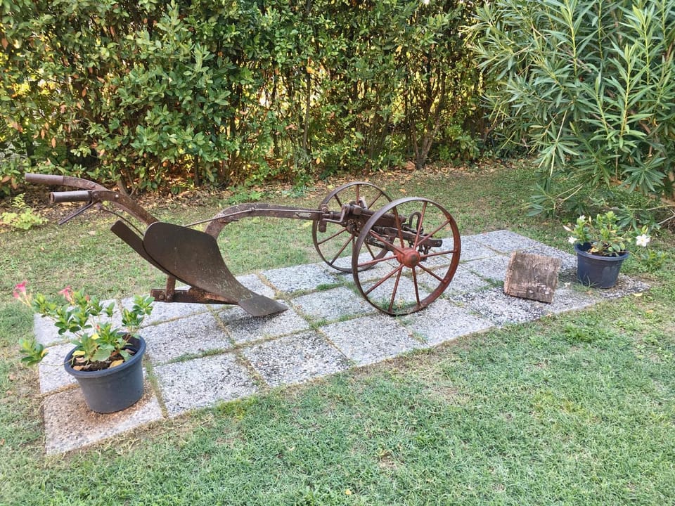 Società agricola le more Agriturismo La Dondina Farm Stay in Emilia-Romagna