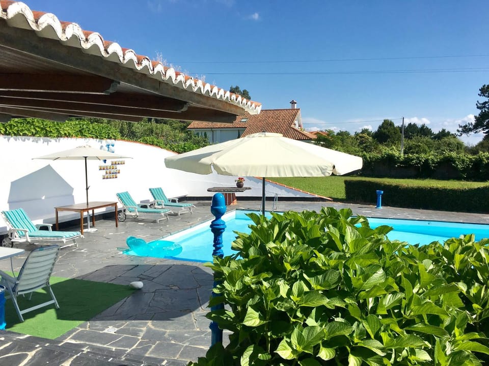 Summer, Garden, Garden view, Pool view, Swimming pool, sunbed