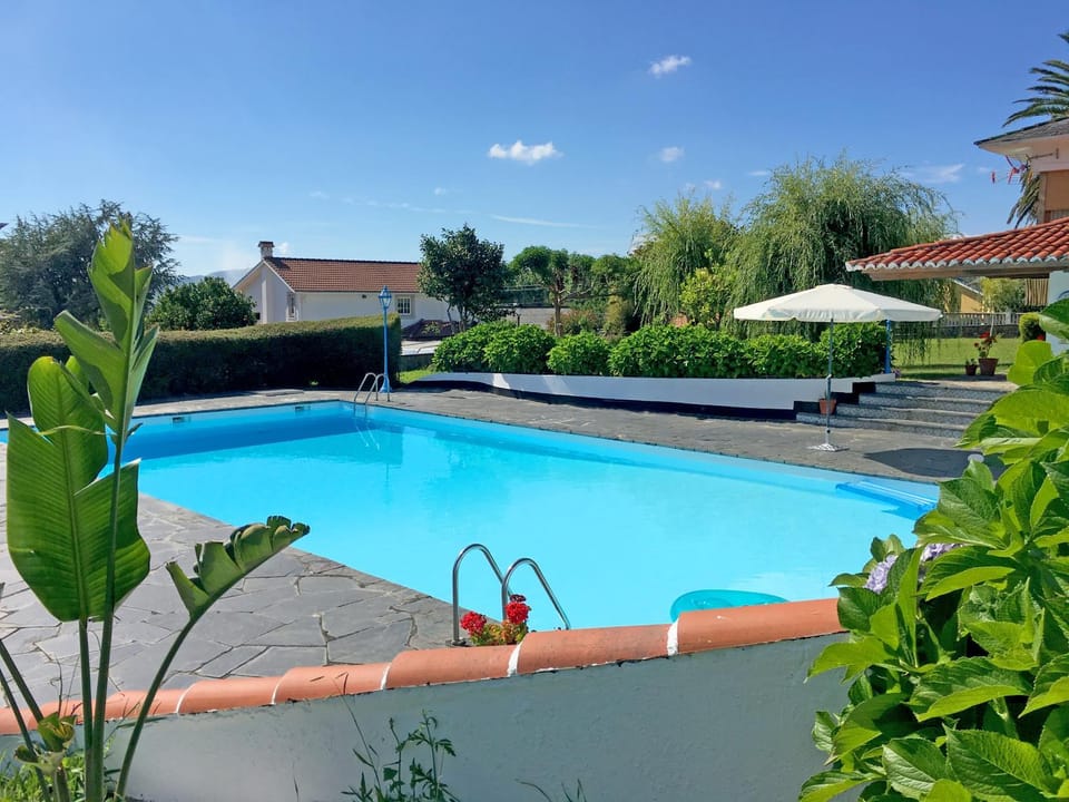 Summer, Garden, Garden view, Pool view, Swimming pool, sunbed