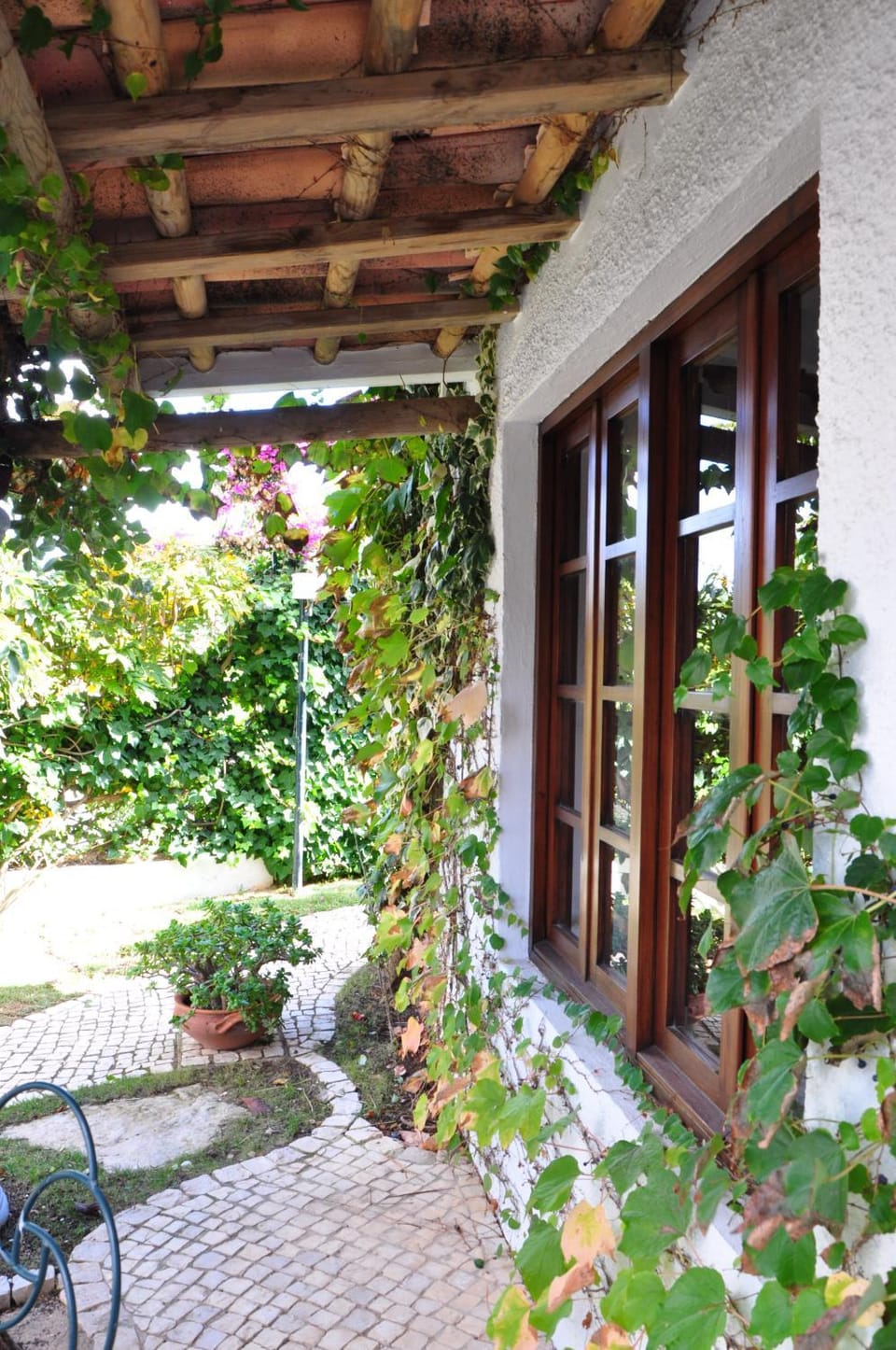 Patio, Garden, Garden view