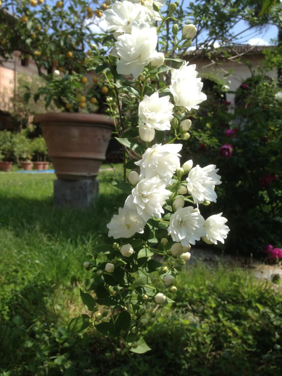 Antica Scuderia Bed and Breakfast in Friuli-Venezia Giulia