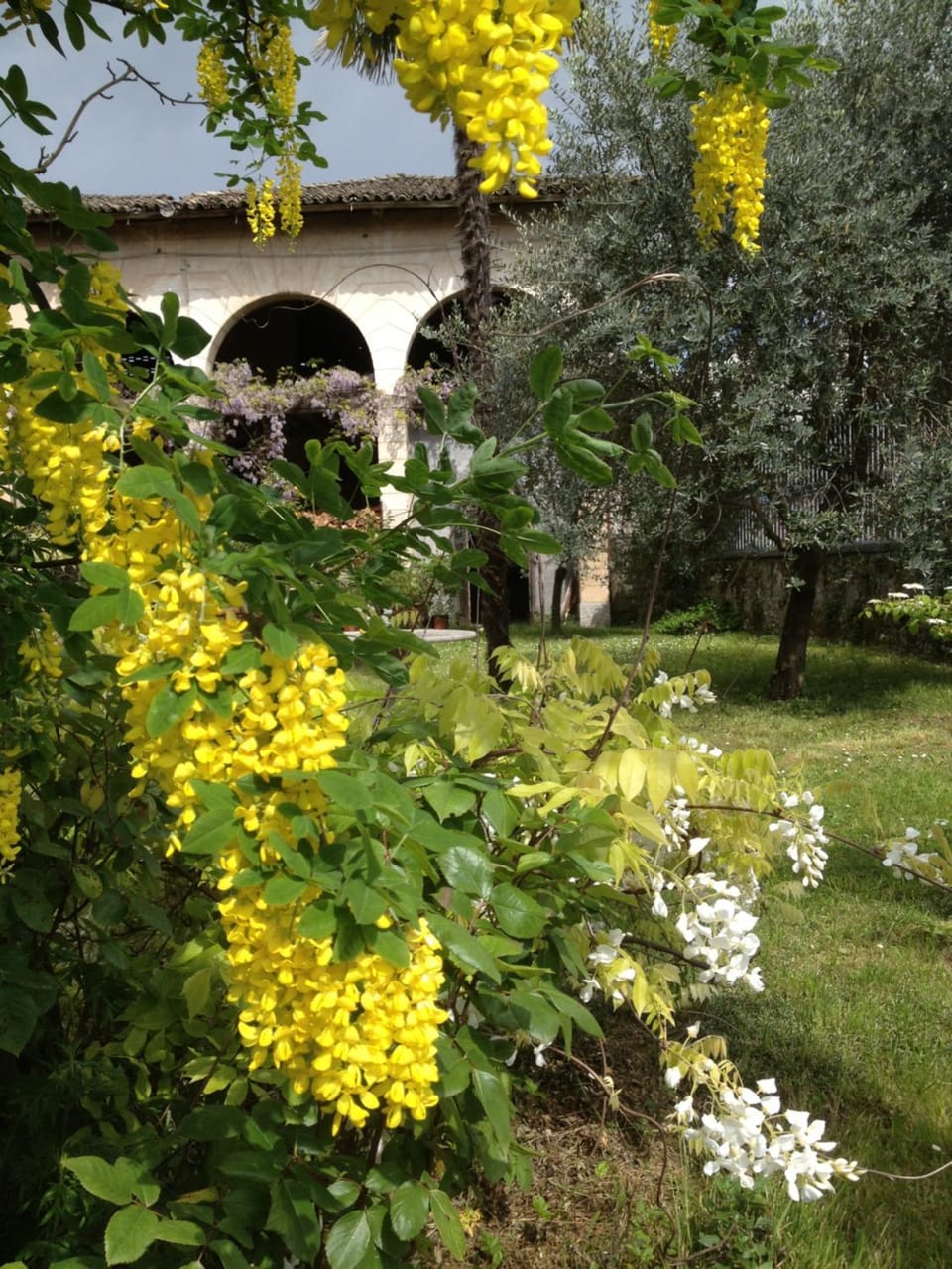 Antica Scuderia Bed and Breakfast in Friuli-Venezia Giulia