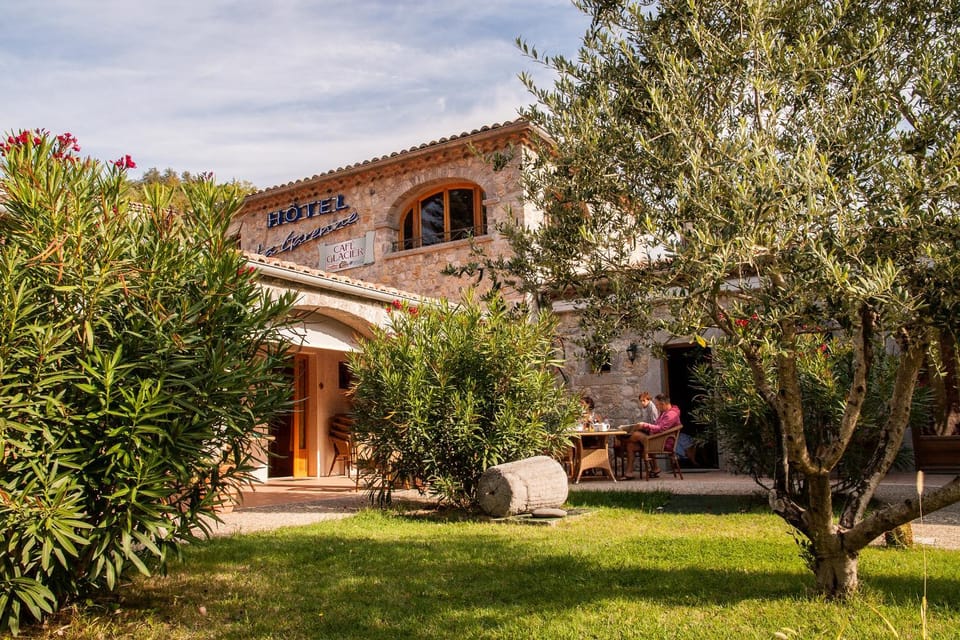 Property building, Patio, Patio, Day, Other, Breakfast