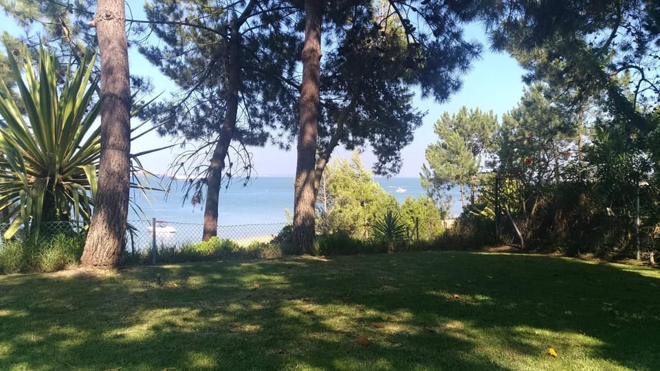 Natural landscape, Garden, Beach, Beach