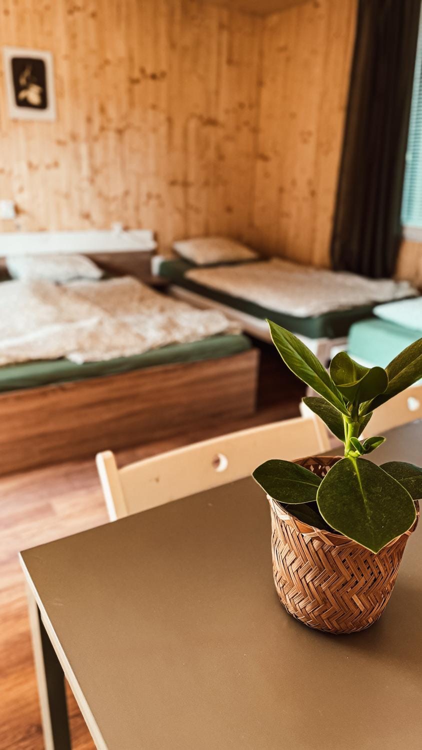 Camp Alpa Campground/ 
RV Resort in South Moravian Region
