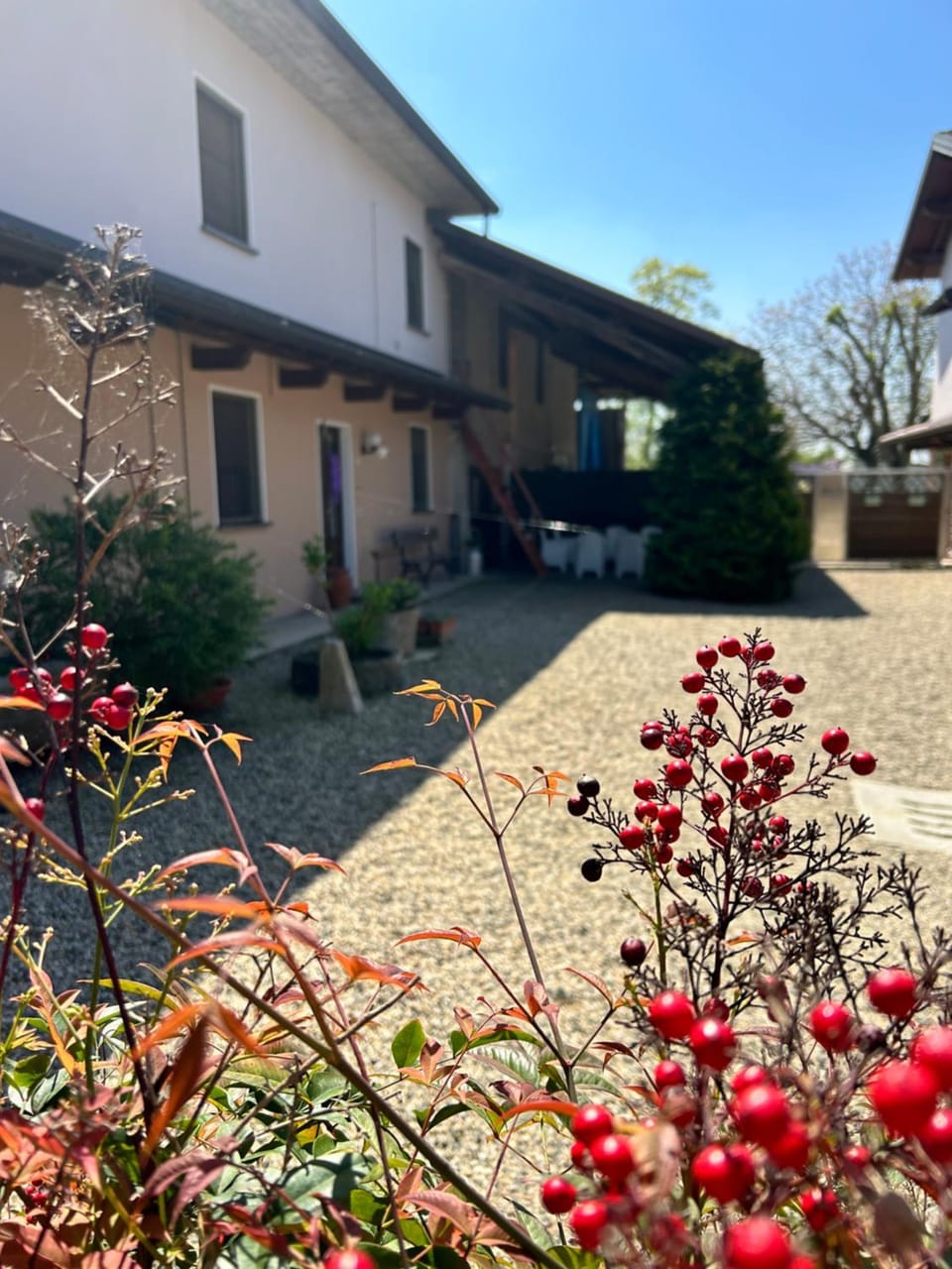 Inner courtyard view