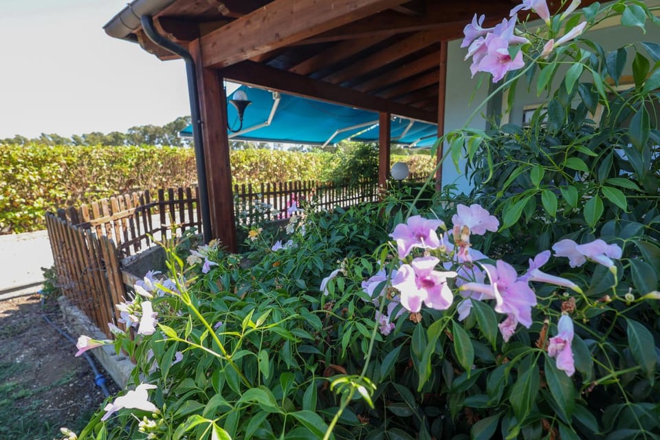 Garden, Garden view