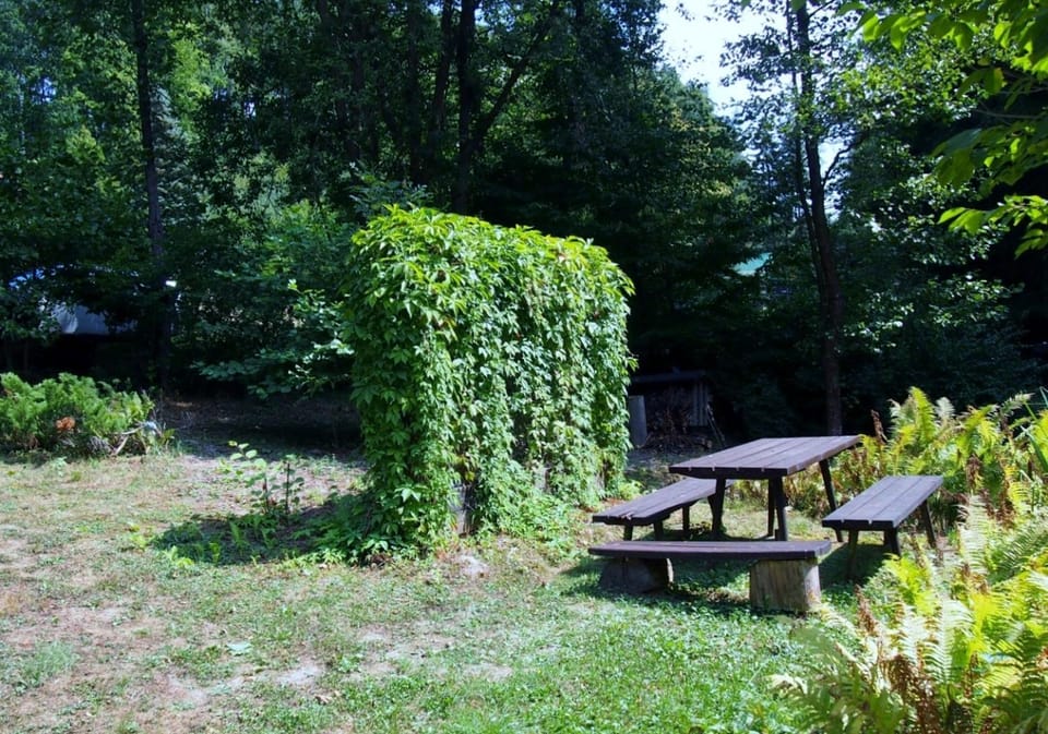 BBQ facilities, Garden, Balcony/Terrace