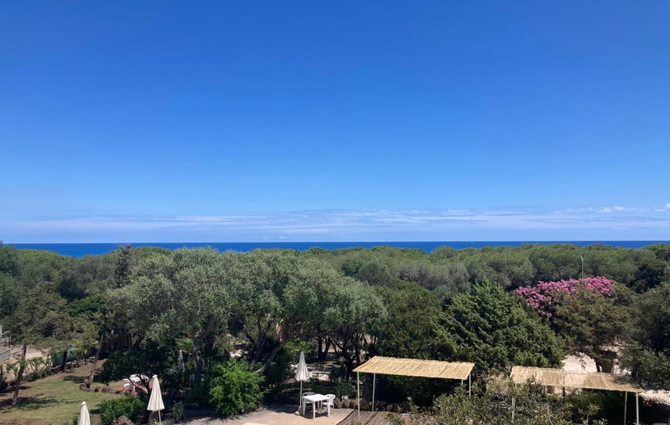 Summer, View (from property/room), Swimming pool