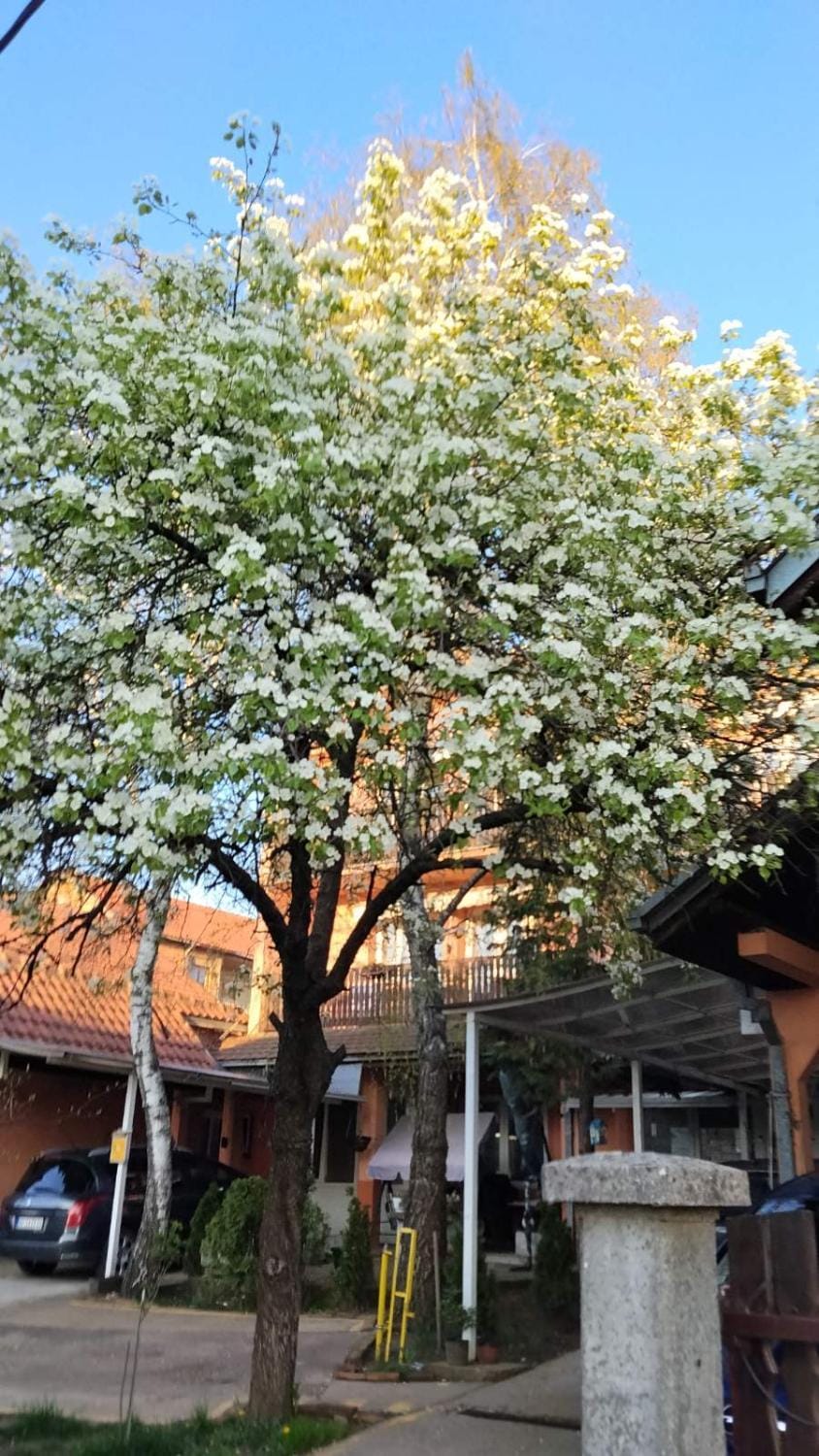 Apartments & Rooms -PANORAMA MDLL BELGRADE Apartment in Belgrade