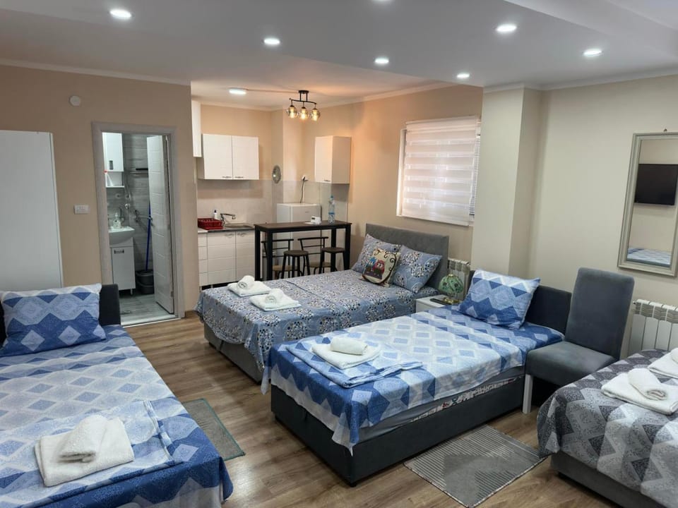 Apartments & Rooms -PANORAMA MDLL -FREE PARKING Apartment in Belgrade
