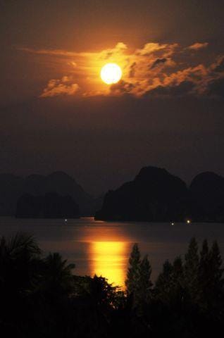 Natural landscape, Other