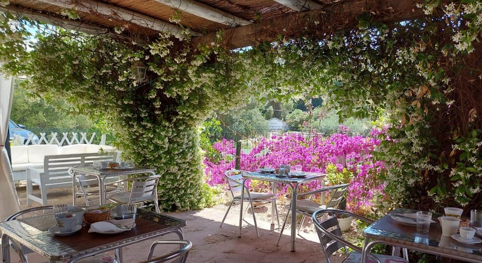 Patio, Dining area, Garden view