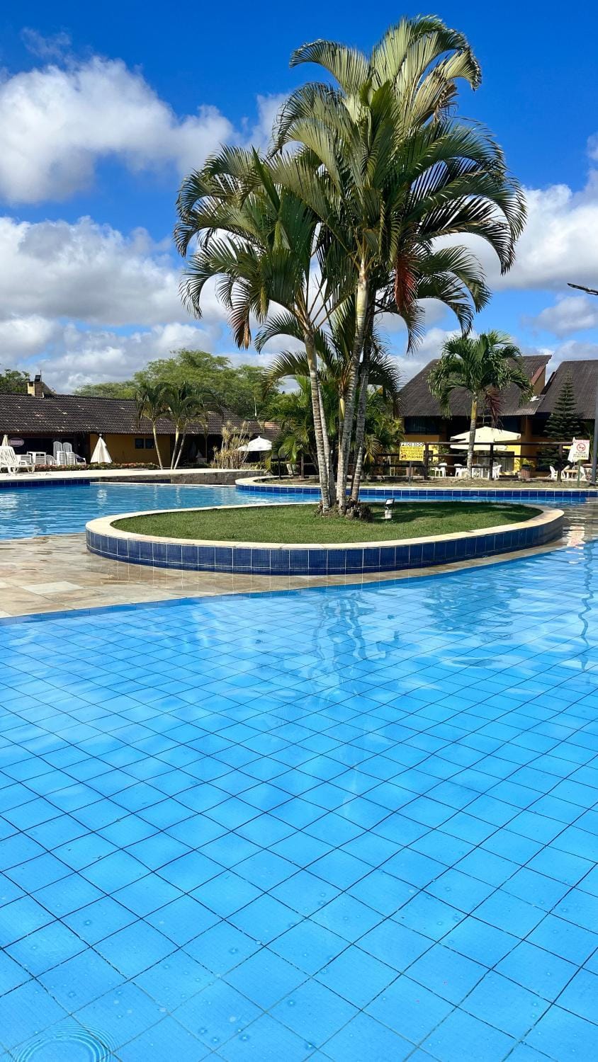 Day, Pool view, Swimming pool