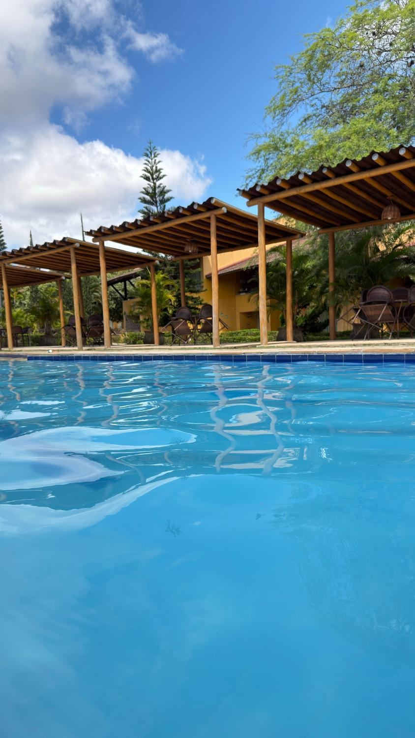 Day, Pool view, Swimming pool