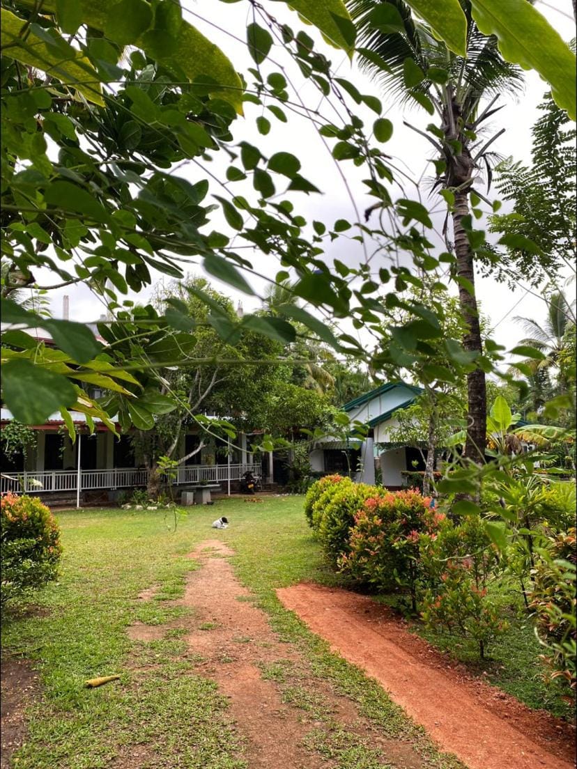 Natural landscape, Garden, Garden view