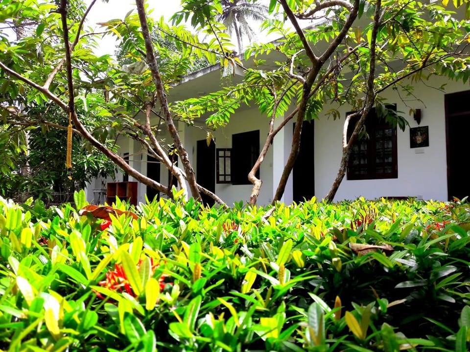 Property building, Garden