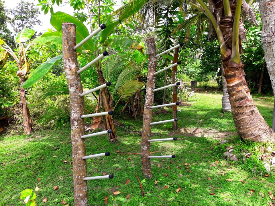 Garden, storage