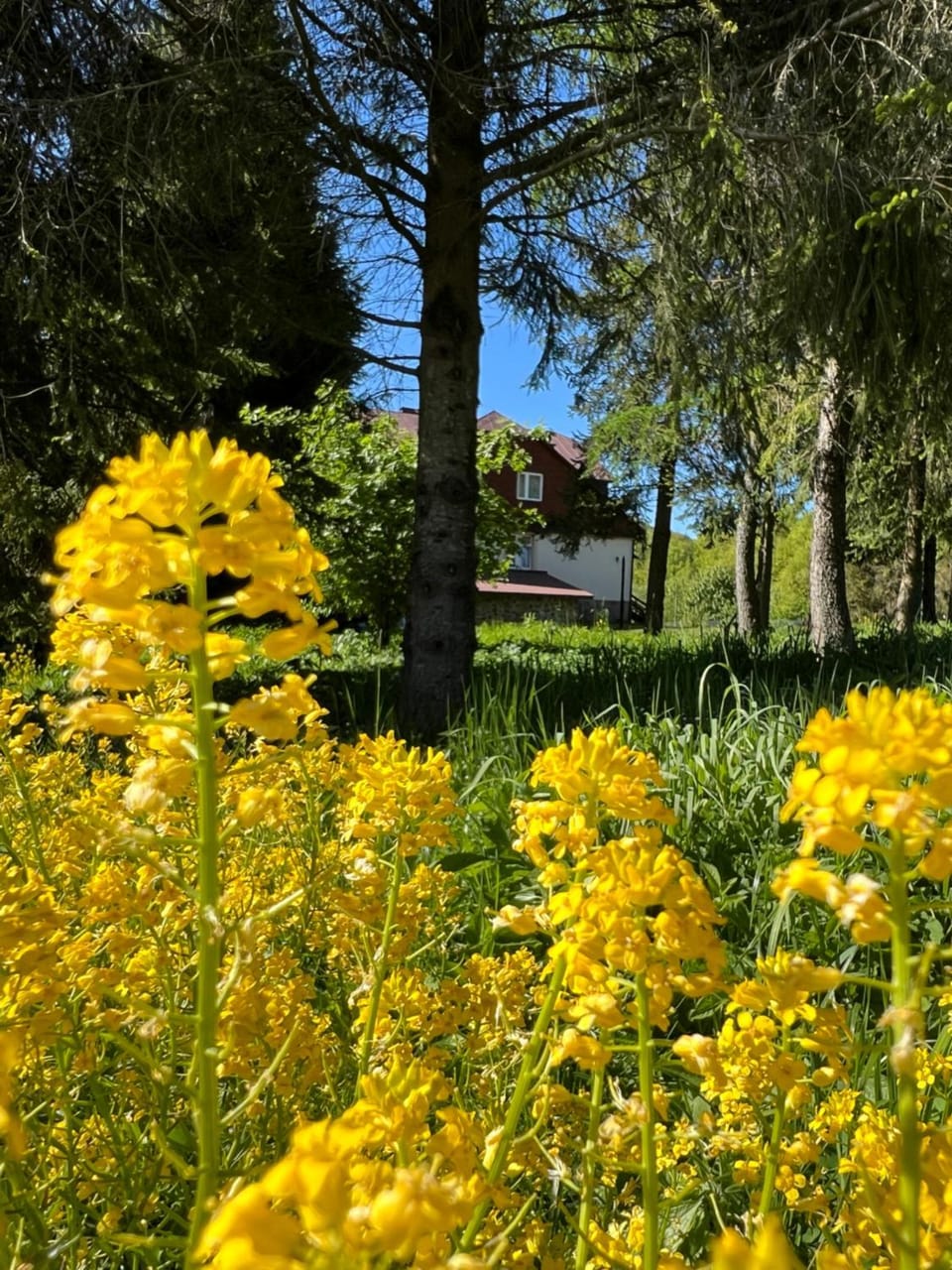 Cicha Dolina Resort in Poland