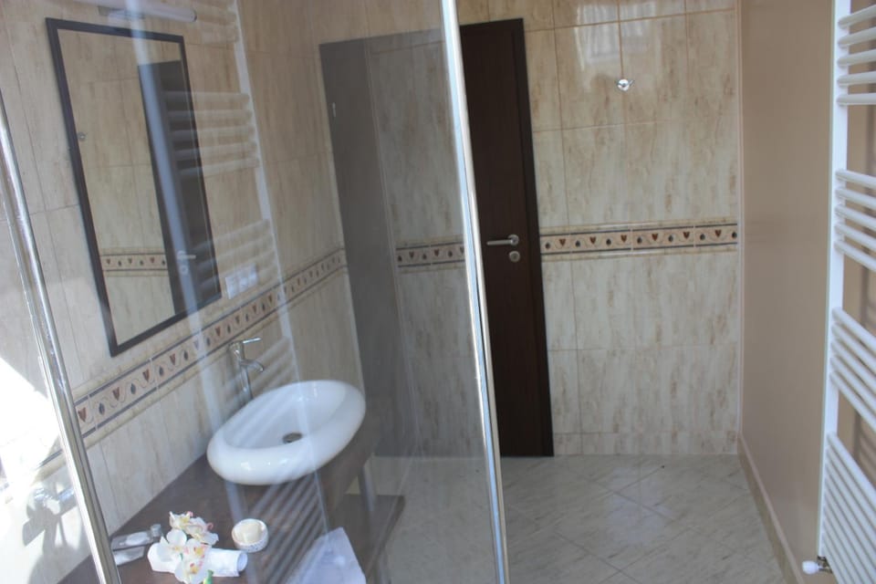 Silva House Bed and Breakfast in Serbia