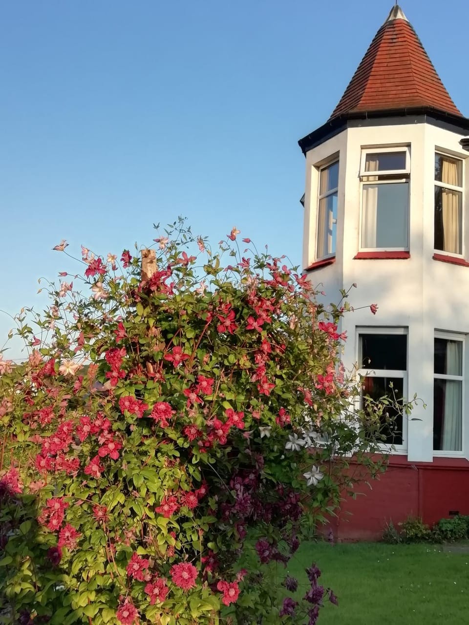 Property building, Garden, On site