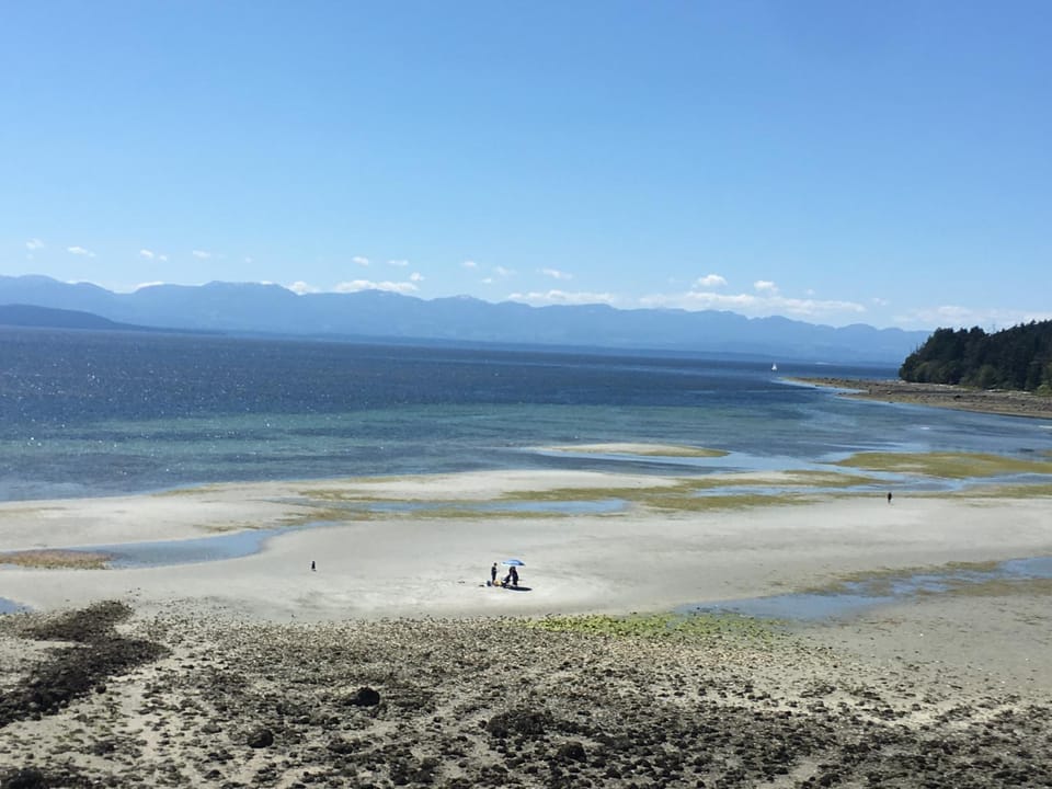 Nearby landmark, Natural landscape, Beach, Beach, Animals, On site, Sea view