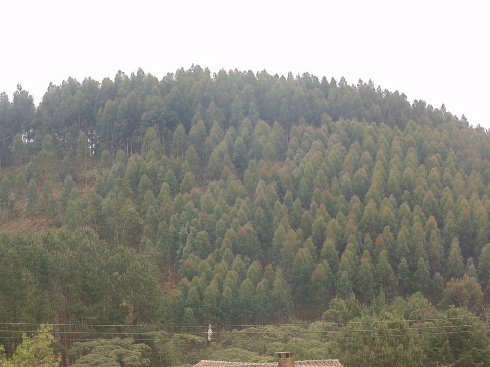 Chales Marigu Nature lodge in Monte Verde