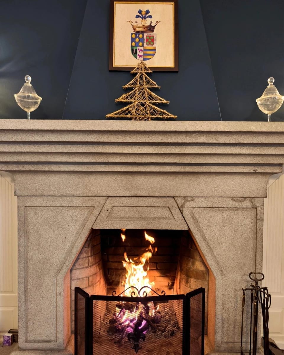 fireplace